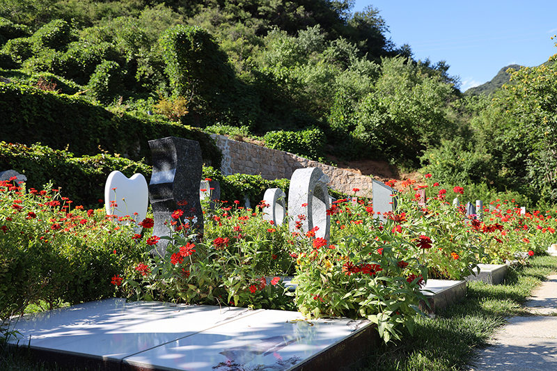 九公山陵园环境