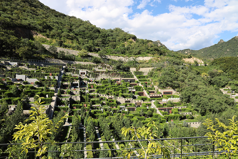 深度了解九公山陵园，风水宝地的墓型特色与